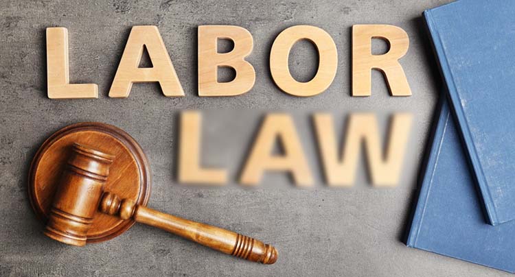 Blurred Lines in Labour Law: Redefining Employer and Worker in a Changing Industrial Landscape