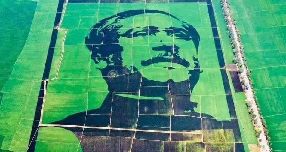 Crop field mosaic honouring Bangabandhu makes it to Guinness World Records