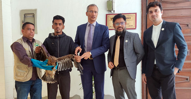 হাইকোর্টের বিচারপতির হস্তক্ষেপে রক্ষা পেল ঈগল পাখি