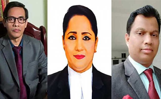 সাউথ এশিয়ান ল’ইয়ার্স ফোরামের ন্যাশনাল চ্যাপ্টারের পূর্ণাঙ্গ কমিটি