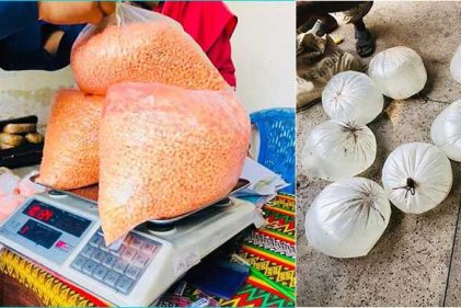 কক্সবাজারে বিভিন্ন মামলায় জব্দকৃত সাড়ে ১৬ কোটি টাকার মাদকদ্রব্য ধ্বংস