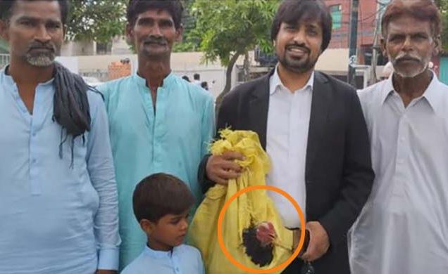 আইনজীবীকে ফি হিসেবে দেওয়া হলো পোষা মুরগি