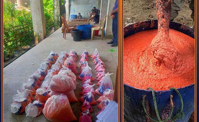 কক্সবাজারে বিভিন্ন মামলায় জব্দকৃত ২৮ কোটি টাকার মাদকদ্রব্য ধ্বংস