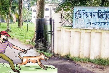 ফাঁদে ফেলে শতাধিক কুকুর হত্যা, আদালতে মামলা