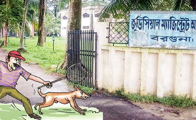 ফাঁদে ফেলে শতাধিক কুকুর হত্যা, আদালতে মামলা