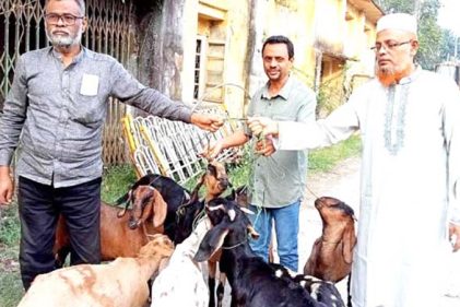 বরিশালে এক বছর 'সাজা খেটে' মুক্তি পেলো ৯টি ছাগল