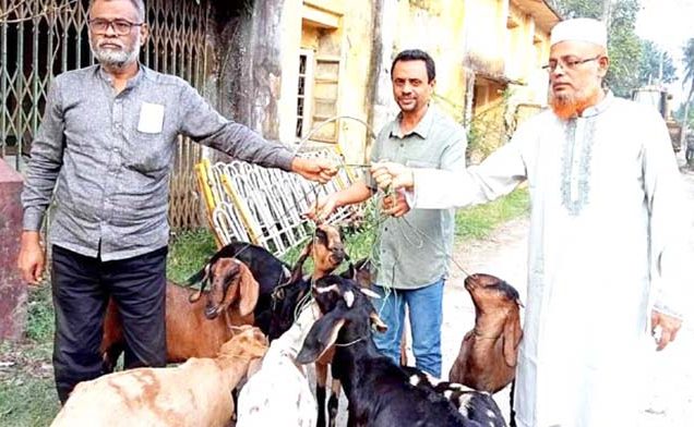 বরিশালে এক বছর 'সাজা খেটে' মুক্তি পেলো ৯টি ছাগল