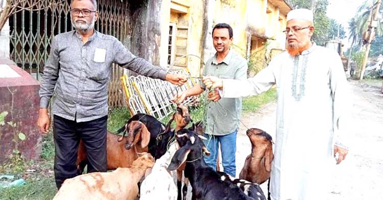 বরিশালে এক বছর 'সাজা খেটে' মুক্তি পেলো ৯টি ছাগল