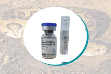রাসেলস ভাইপারে মৃত্যুরোধে পর্যাপ্ত অ্যান্টিভেনম সরবরাহ চেয়ে নোটিশ