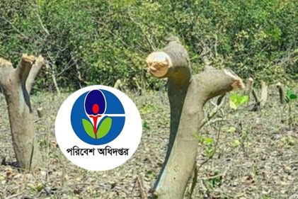 কক্সবাজারে প্যারাবন নিধন করে চিংড়ি ঘের করায় ২৬ জনের বিরুদ্ধে মামলা