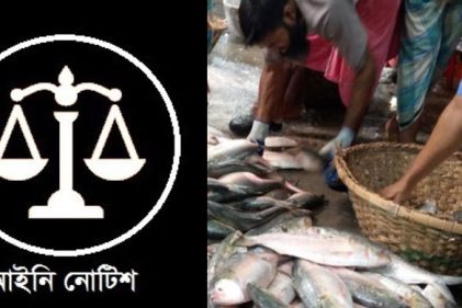 অন্তর্বর্তী সরকার কর্তৃক ভারতে ইলিশ রপ্তানির অনুমতির প্রতিবাদে আইনি নোটিশ