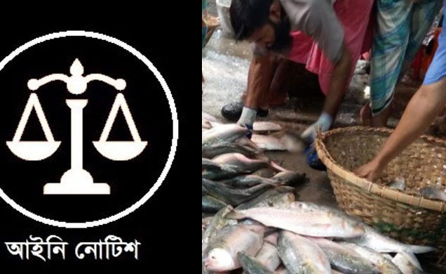 অন্তর্বর্তী সরকার কর্তৃক ভারতে ইলিশ রপ্তানির অনুমতির প্রতিবাদে আইনি নোটিশ