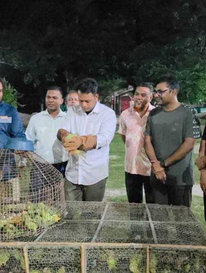 উদ্ধার করা ৮০টি টিয়া পাখি অবমুক্ত