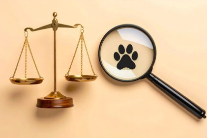 প্রাণী অধিকার রক্ষায় লিগ্যাল নোটিশ, ব্যবস্থা না নিলে রিটের হুঁশিয়ারি