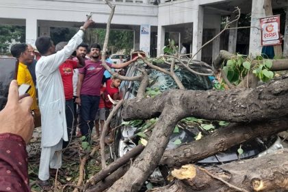 হাইকোর্ট প্রাঙ্গণে বটগাছ ভেঙে পড়ে একাধিক গাড়ি ক্ষতিগ্রস্ত