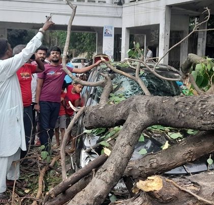 হাইকোর্ট প্রাঙ্গণে বটগাছ ভেঙে পড়ে একাধিক গাড়ি ক্ষতিগ্রস্ত
