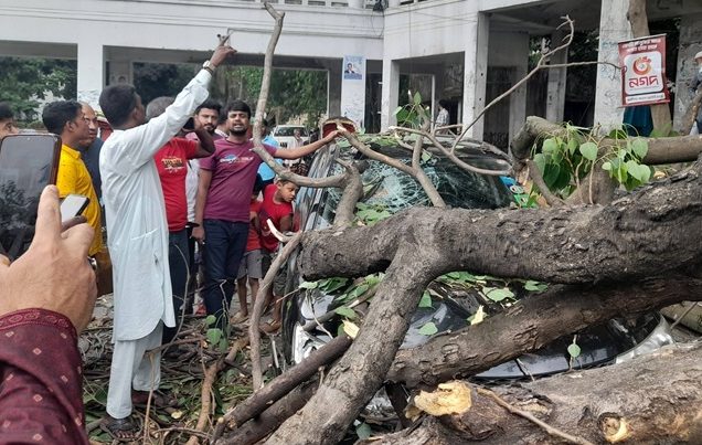 হাইকোর্ট প্রাঙ্গণে বটগাছ ভেঙে পড়ে একাধিক গাড়ি ক্ষতিগ্রস্ত